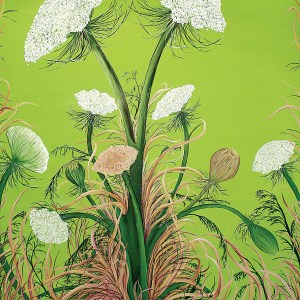 Allison Green | Queen Anne's Lace