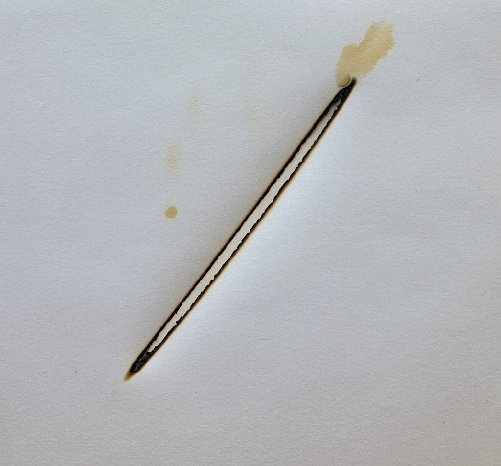 Chris McCaw | Sunburned #446 (Sierra) - Image 5